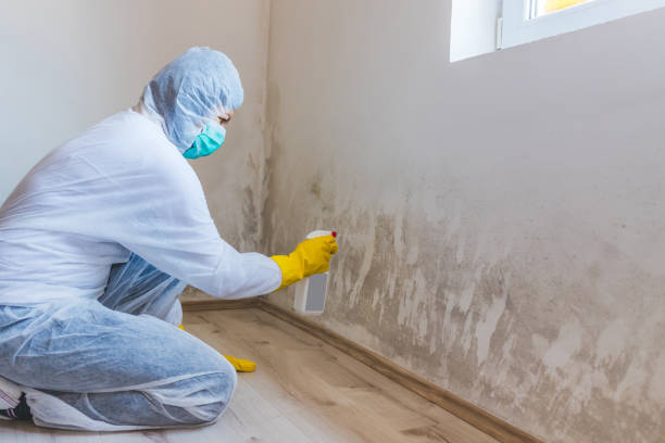 Crawl Space Mold Remediation treatment of floor joists in Largo